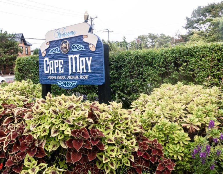 Exploring New Jersey: 4 Must-Visit Spots in the Garden State