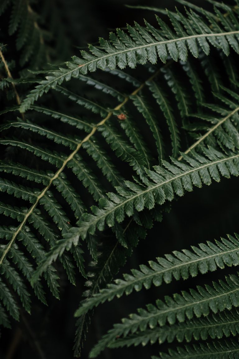 Living With AuDHD: My Honest Experience