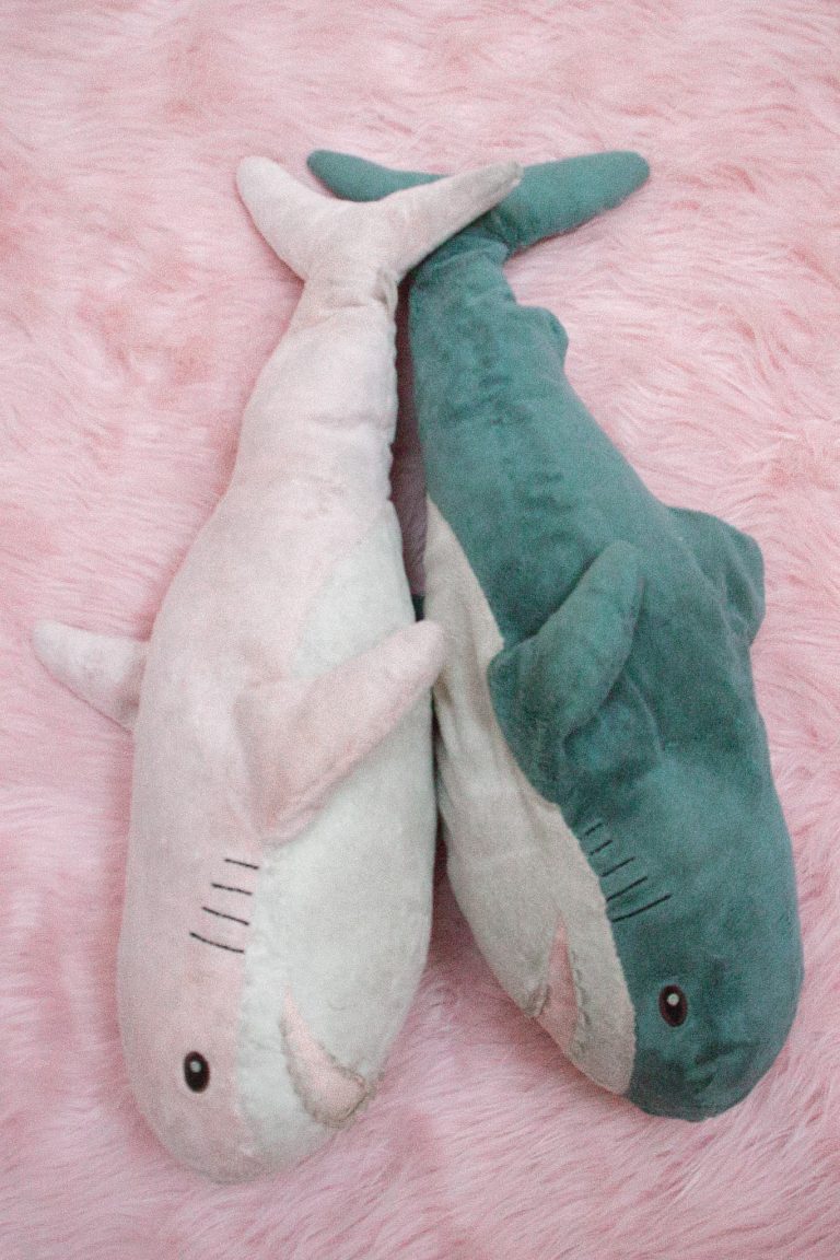 Meet Blåhaj & Rosehaj: The Sharks Behind the Adventures